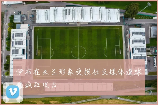 伊布在米兰形象受损社交媒体遭球迷疯狂攻击