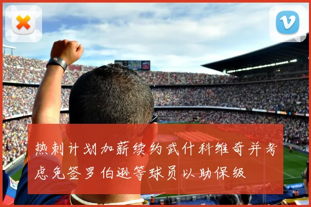 热刺计划加薪续约武什科维奇并考虑免签罗伯逊等球员以助保级